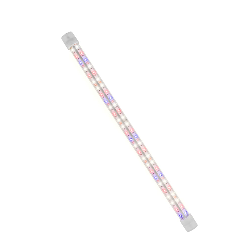 led expert kolor.jpg